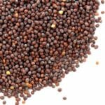 Senf-Koerner-Braun-online Mustard seeds. Brown mustard seeds buy online spices Switzerland