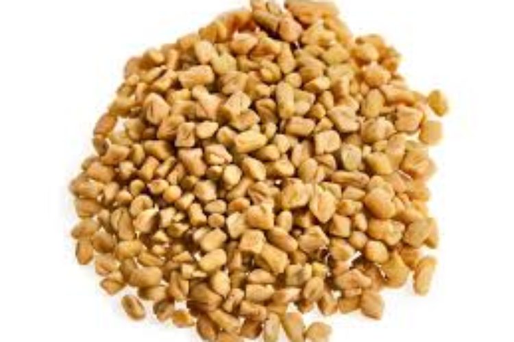 fenugreek- seeds -methi-image buy indian spice online spiceitupp
